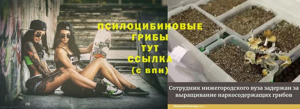 не бодяженный Абинск
