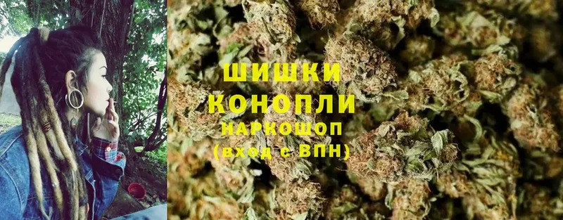 как найти наркотики  Белоозёрский  мориарти телеграм  МАРИХУАНА план 